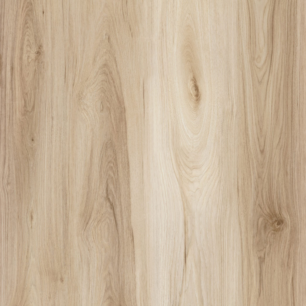 Chateau-XF131802CH-Windsor-SPC 8mm 28mil wearlayer Painted Bevel and EIR