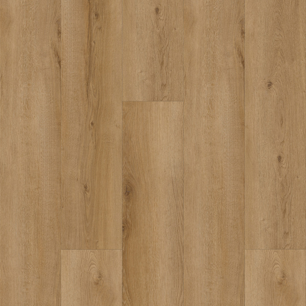 Chateau-XF134805CH-Monticello-SPC 8mm 28mil wearlayer Painted Bevel and EIR