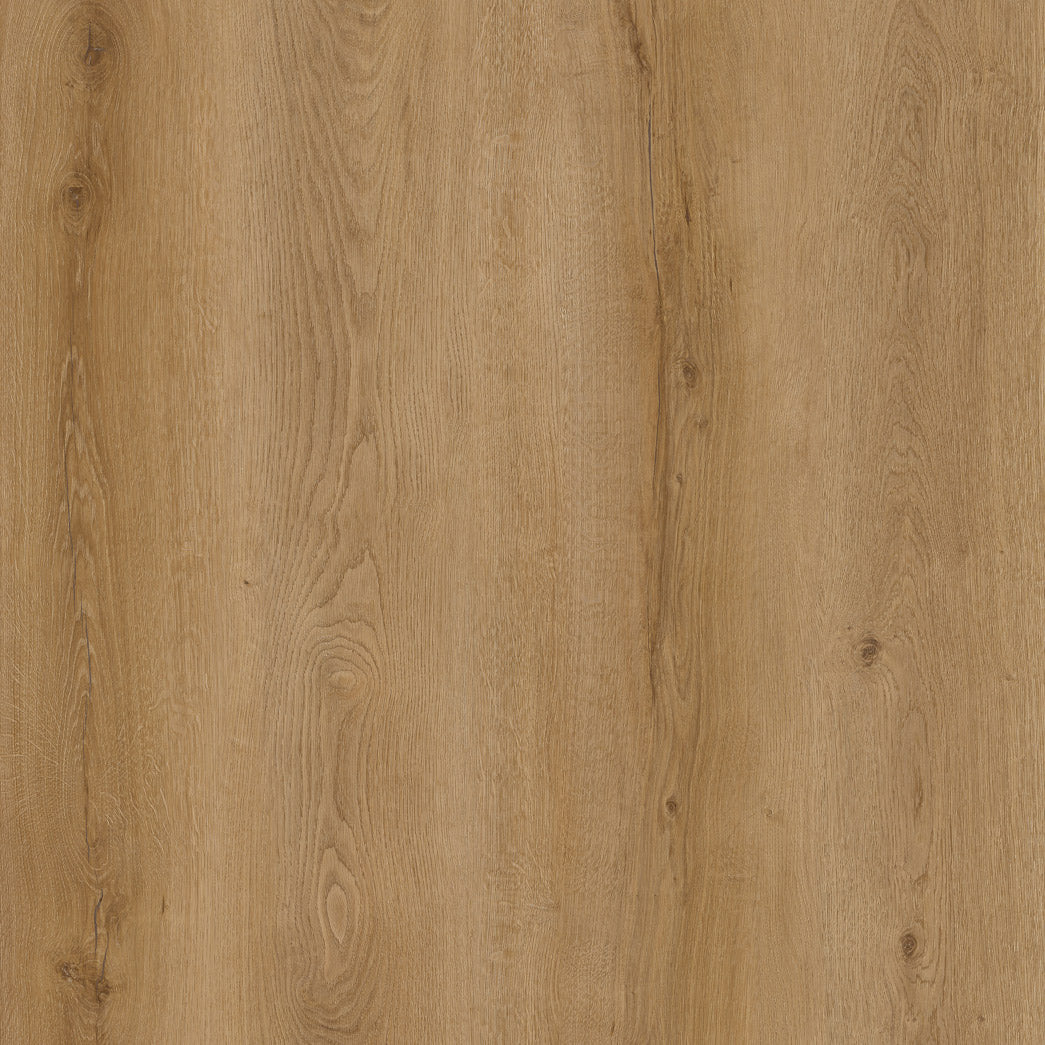 Chateau-XF134805CH-Monticello-SPC 8mm 28mil wearlayer Painted Bevel and EIR