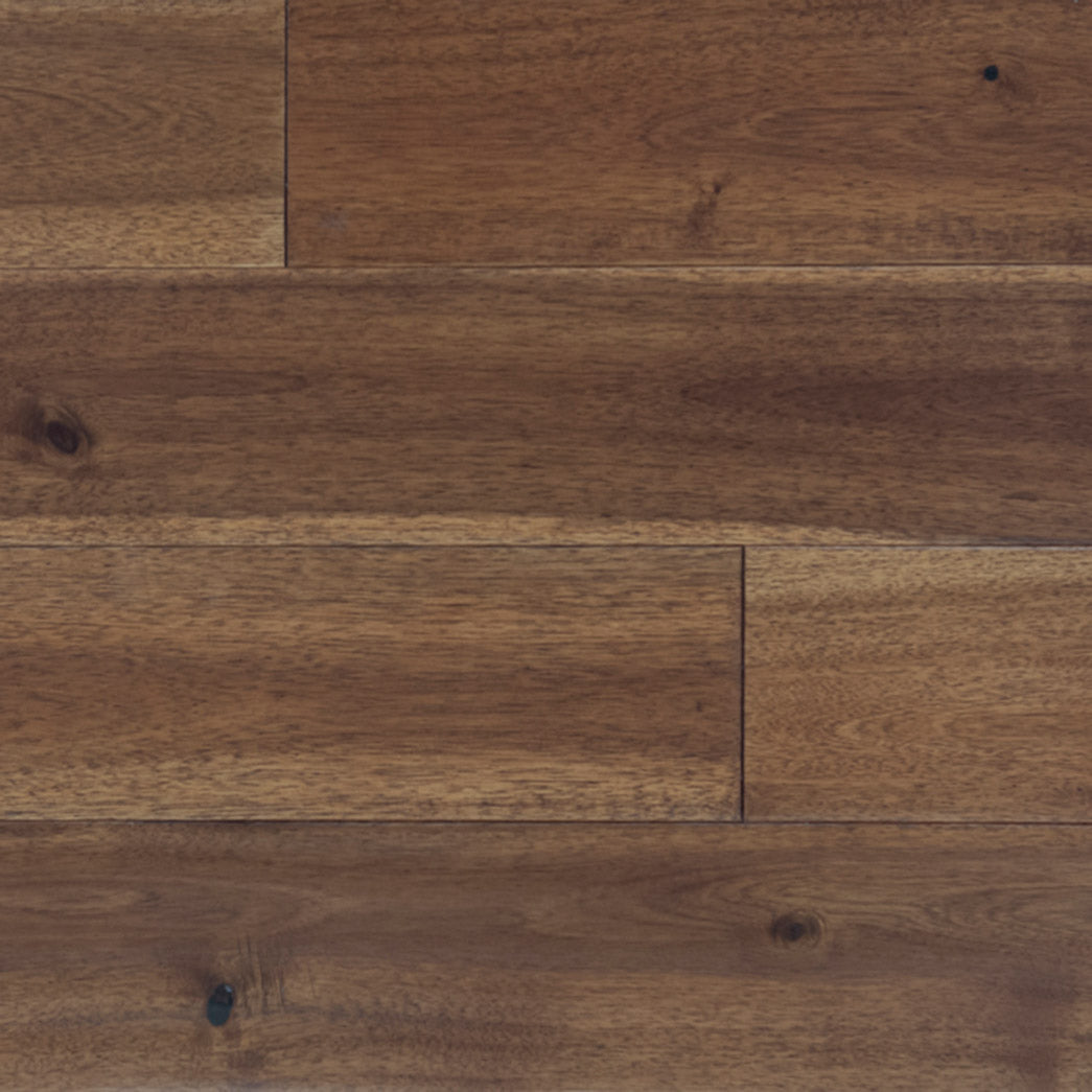 Xulon Mimosa Tawny Brown Solid Acacia 5" Solid Prefinished Hardwood Flooring