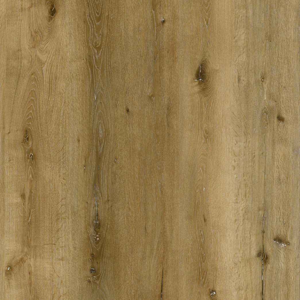 Xulon Flooring-Hillcrest-XF126005H-Country Oak-8mm-20mil-Painted Bevel-EIR Vinyl Plank