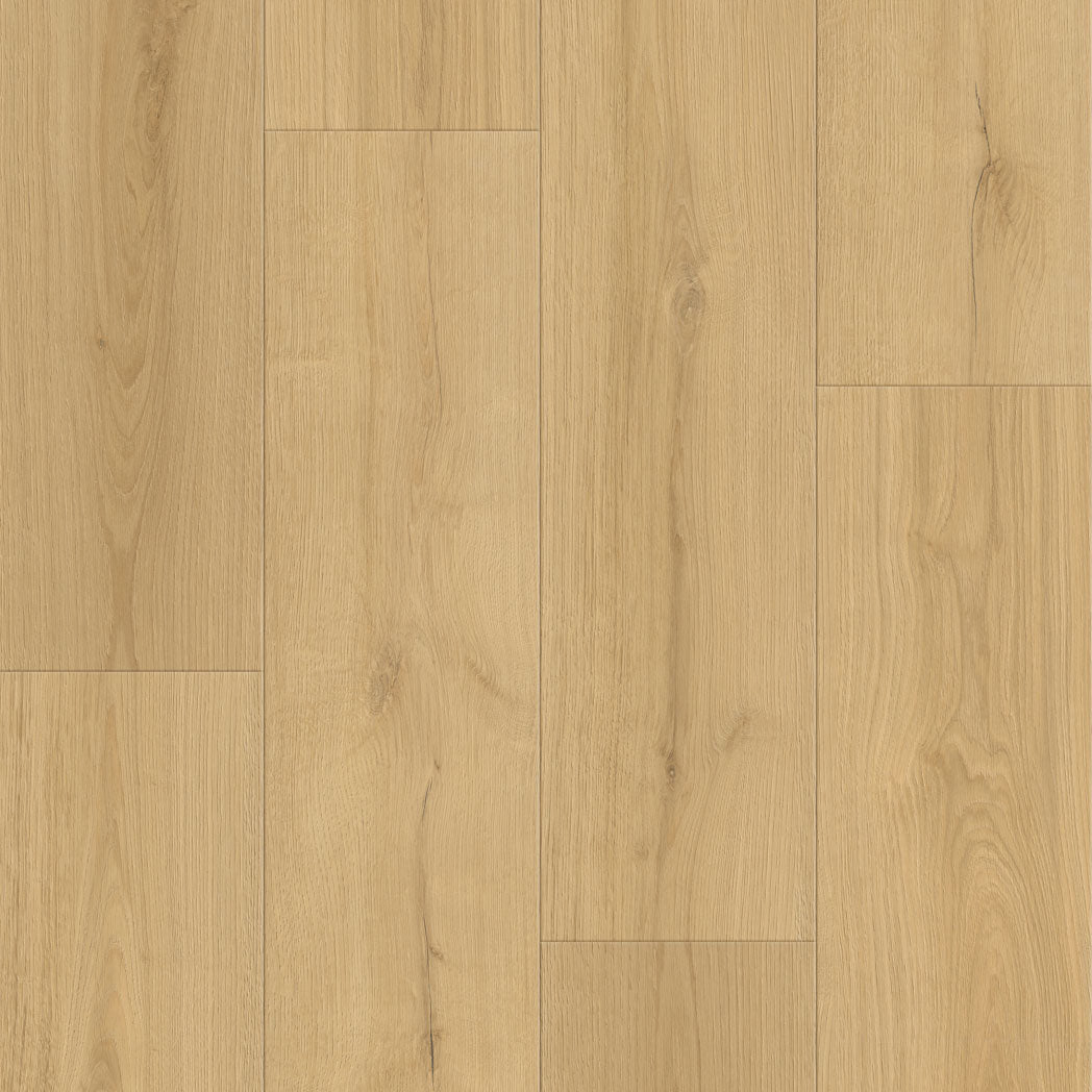 Xulon Flooring Timberline Acadia 30mil Warelayer 10mm EIR Pressed Bevel LSPC Vinyl Plank LVP XF2469-00152